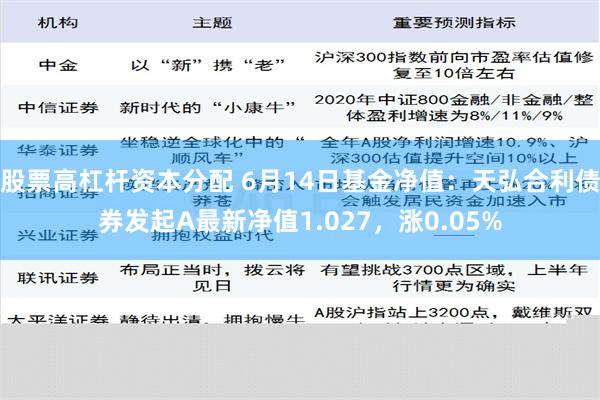 股票高杠杆资本分配 6月14日基金净值：天弘合利债券发起A最新净值1.027，涨0.05%