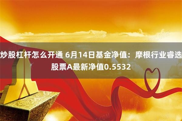 炒股杠杆怎么开通 6月14日基金净值：摩根行业睿选股票A最新净值0.5532