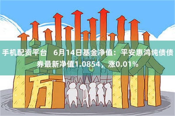 手机配资平台   6月14日基金净值：平安惠鸿纯债债券最新净值1.0854，涨0.01%