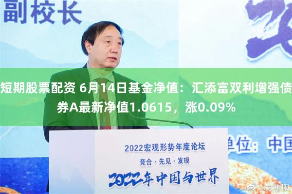 短期股票配资 6月14日基金净值：汇添富双利增强债券A最新净值1.0615，涨0.09%