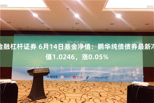 金融杠杆证券 6月14日基金净值：鹏华纯债债券最新净值1.0246，涨0.05%