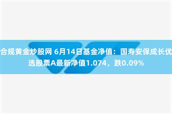 合规黄金炒股网 6月14日基金净值：国寿安保成长优选股票A最新净值1.074，跌0.09%