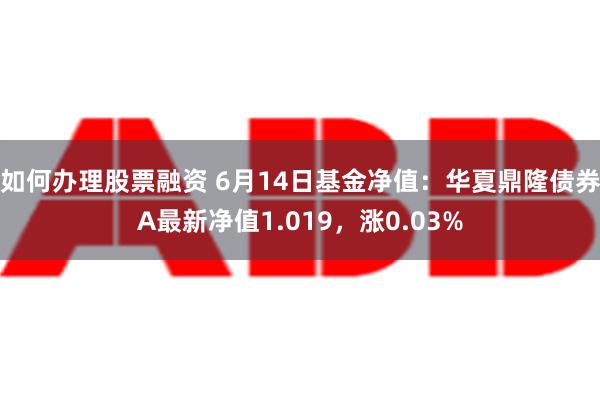 如何办理股票融资 6月14日基金净值：华夏鼎隆债券A最新净值1.019，涨0.03%