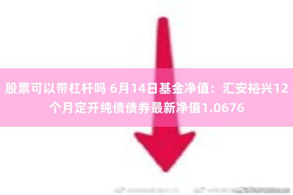 股票可以带杠杆吗 6月14日基金净值：汇安裕兴12个月定开纯债债券最新净值1.0676