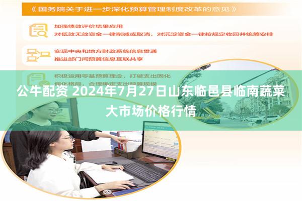 公牛配资 2024年7月27日山东临邑县临南蔬菜大市场价格行情