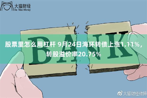 股票里怎么用杠杆 9月24日海环转债上涨1.11%，转股溢价率20.75%