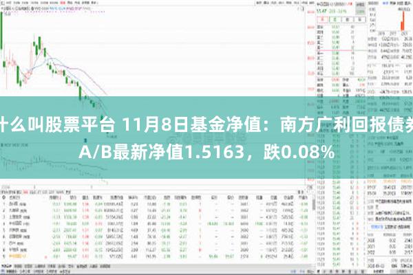 什么叫股票平台 11月8日基金净值：南方广利回报债券A/B最新净值1.5163，跌0.08%