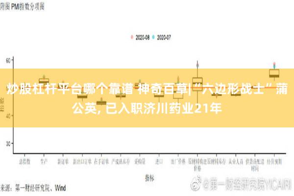 炒股杠杆平台哪个靠谱 神奇百草|“六边形战士”蒲公英, 已入职济川药业21年