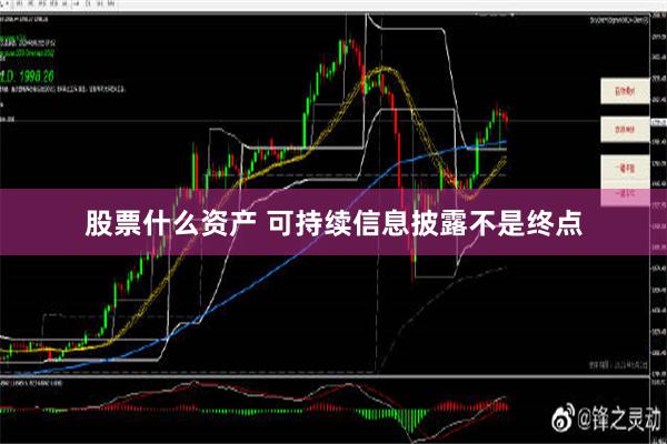 股票什么资产 可持续信息披露不是终点